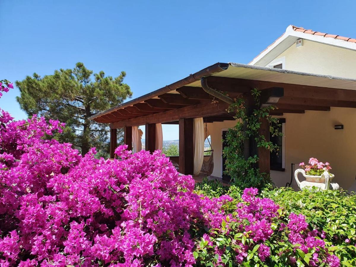 Villa Le Agavi & Spa Scarlino Eksteriør billede