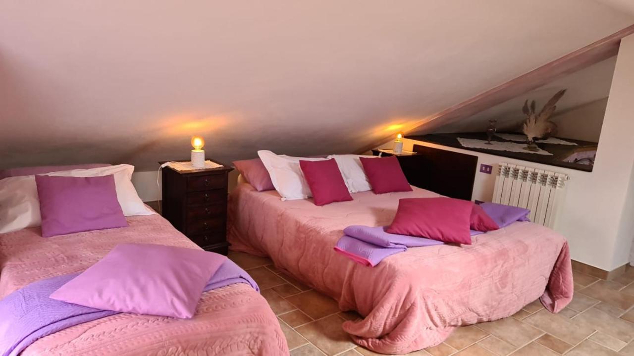 Villa Le Agavi & Spa Scarlino Eksteriør billede
